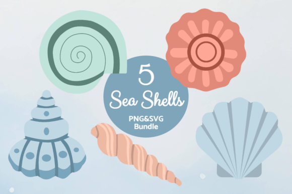 Coastal Shells Set: A Designer's Review for Embroidery